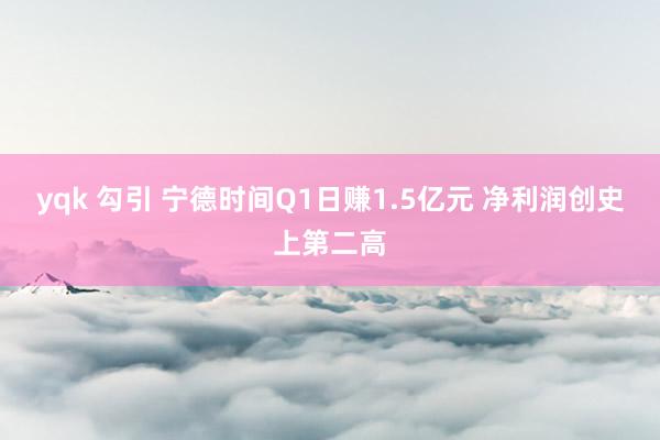 yqk 勾引 宁德时间Q1日赚1.5亿元 净利润创史上第二高