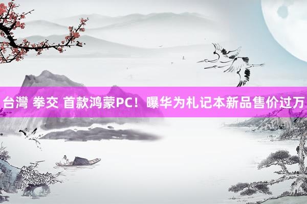 台灣 拳交 首款鸿蒙PC！曝华为札记本新品售价过万