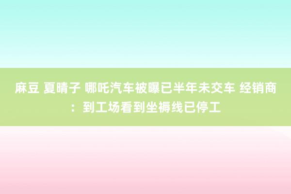 麻豆 夏晴子 哪吒汽车被曝已半年未交车 经销商：到工场看到坐褥线已停工