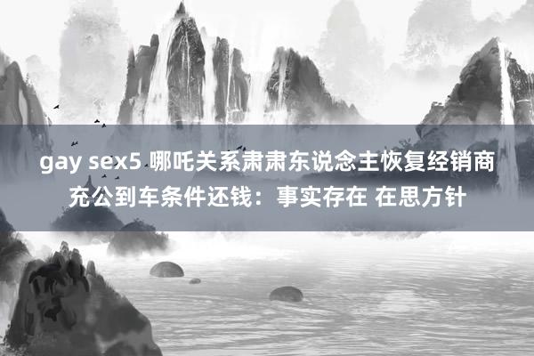 gay sex5 哪吒关系肃肃东说念主恢复经销商充公到车条件还钱：事实存在 在思方针