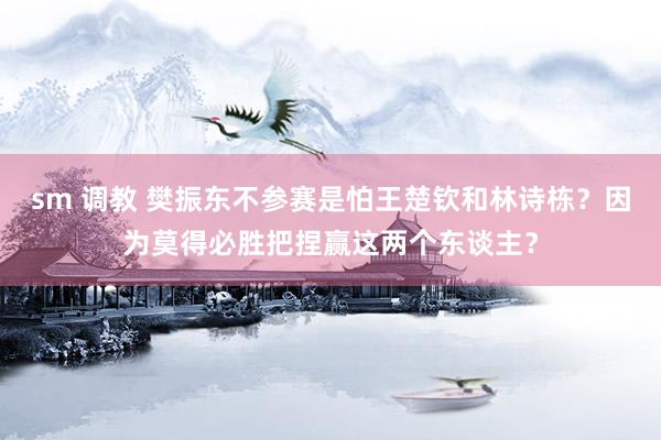 sm 调教 樊振东不参赛是怕王楚钦和林诗栋？因为莫得必胜把捏赢这两个东谈主？
