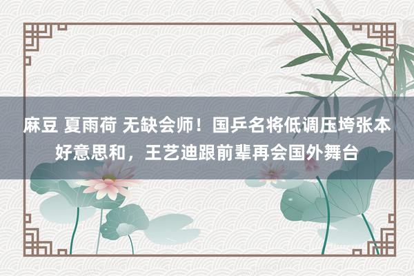 麻豆 夏雨荷 无缺会师！国乒名将低调压垮张本好意思和，王艺迪跟前辈再会国外舞台