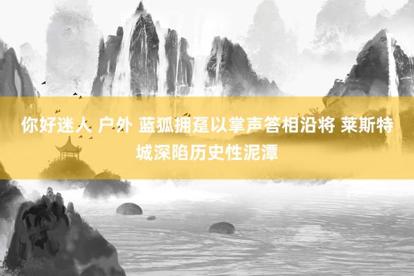 你好迷人 户外 蓝狐拥趸以掌声答相沿将 莱斯特城深陷历史性泥潭