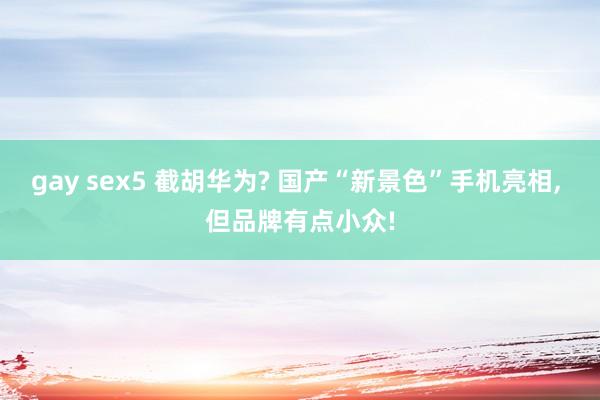gay sex5 截胡华为? 国产“新景色”手机亮相, 但品牌有点小众!
