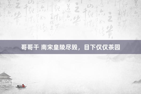哥哥干 南宋皇陵尽毁，目下仅仅茶园
