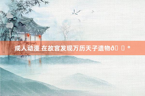 成人动漫 在故宫发现万历天子遗物💰