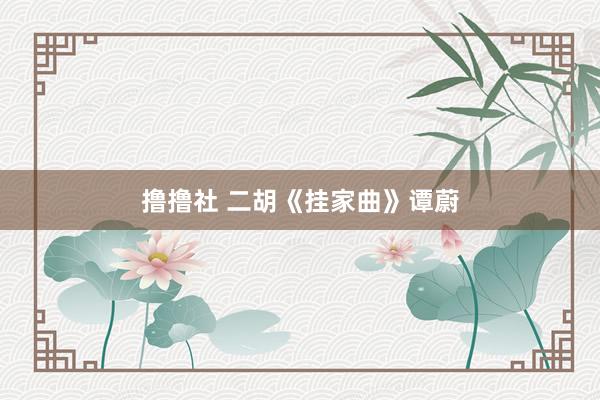 撸撸社 二胡《挂家曲》谭蔚